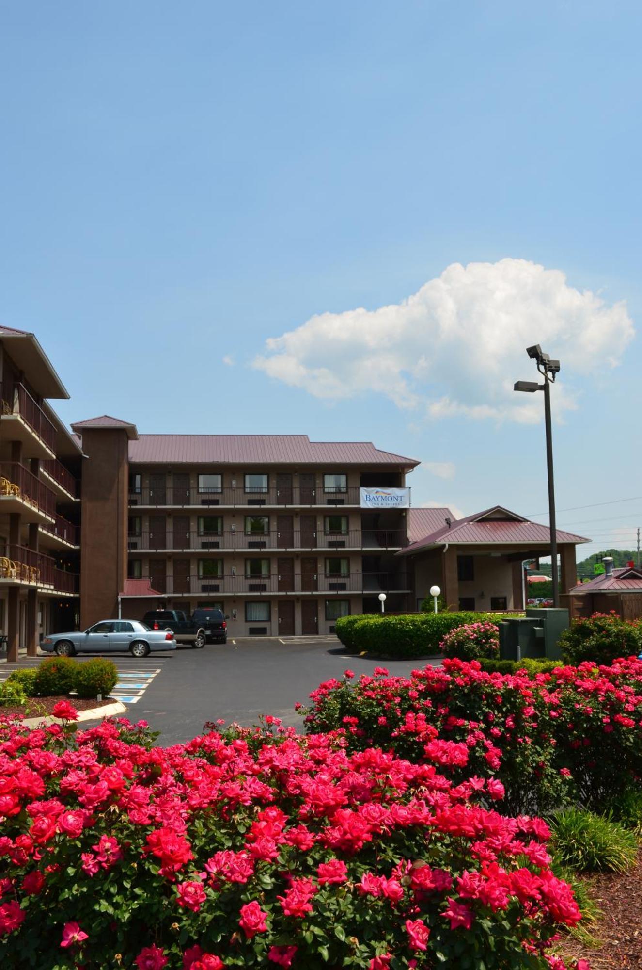 Готель Baymont By Wyndham Pigeon Forge Near Island Drive Екстер'єр фото